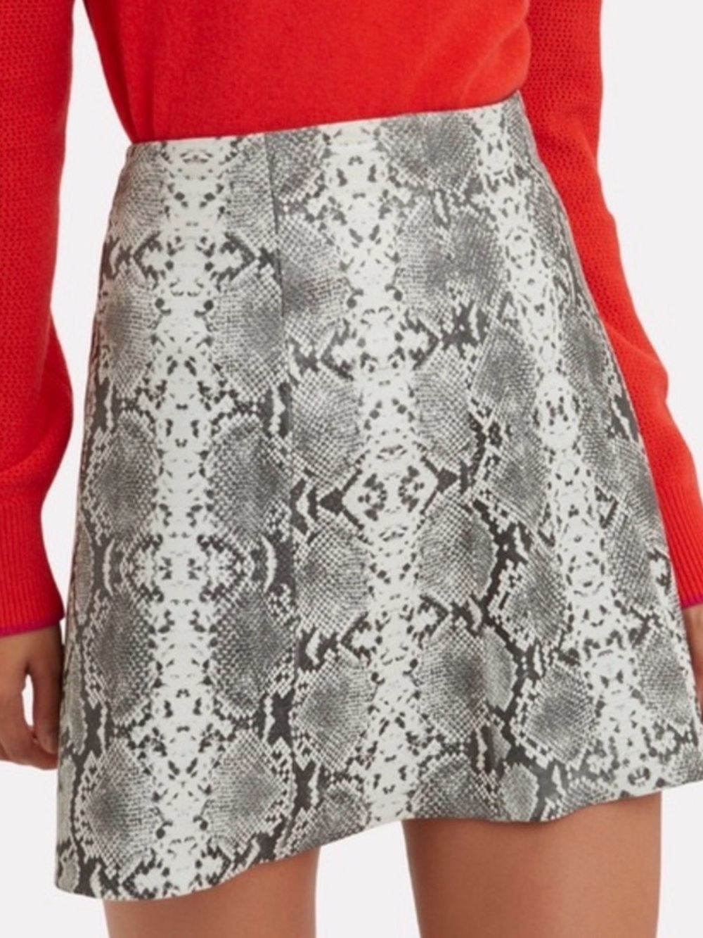 Veda Snake Leather Skirt